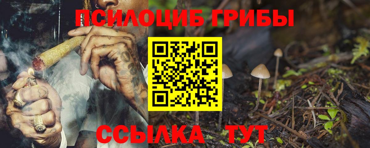 Псилоцибиновые грибы мицелий  купить наркоту  Ивантеевка  Вход с VPN 